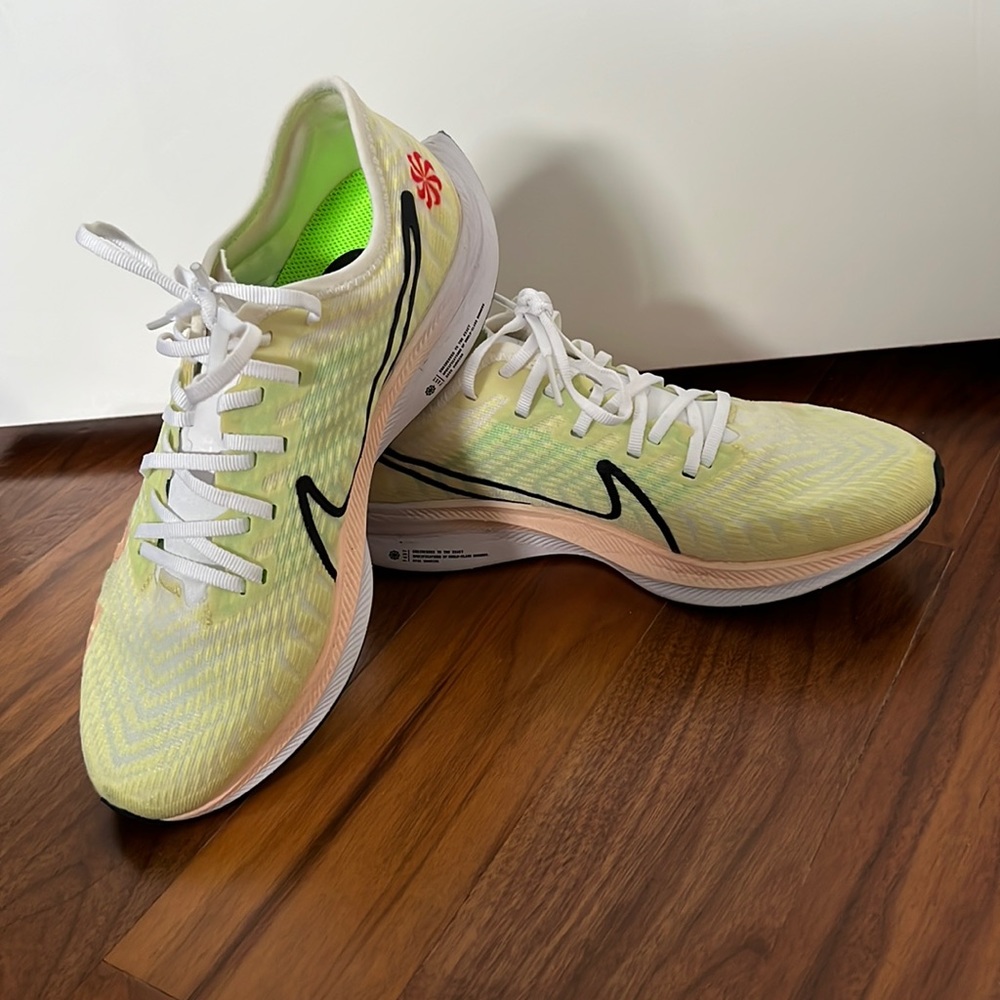 Nike Zoom Pegasus Turbo 2 Rise